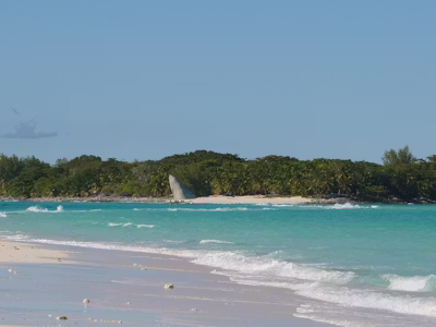 Beach holiday photo 12