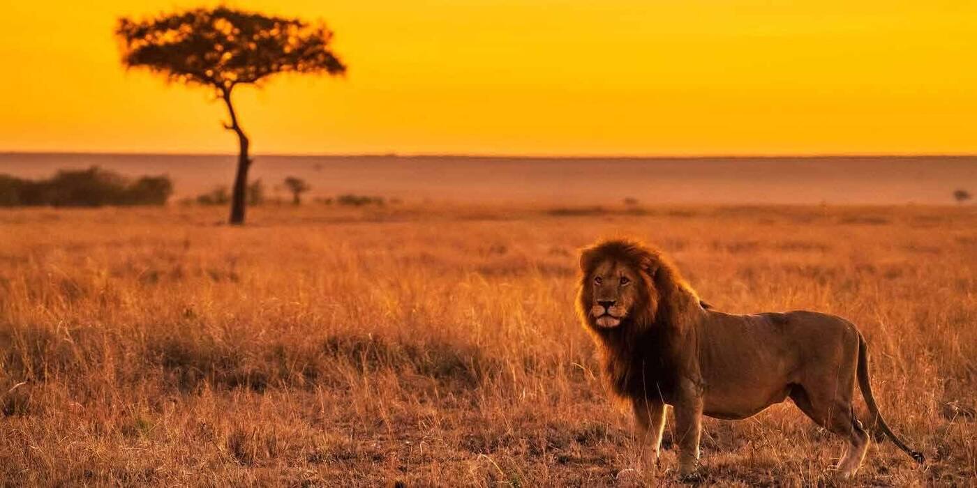 Masai Mara route