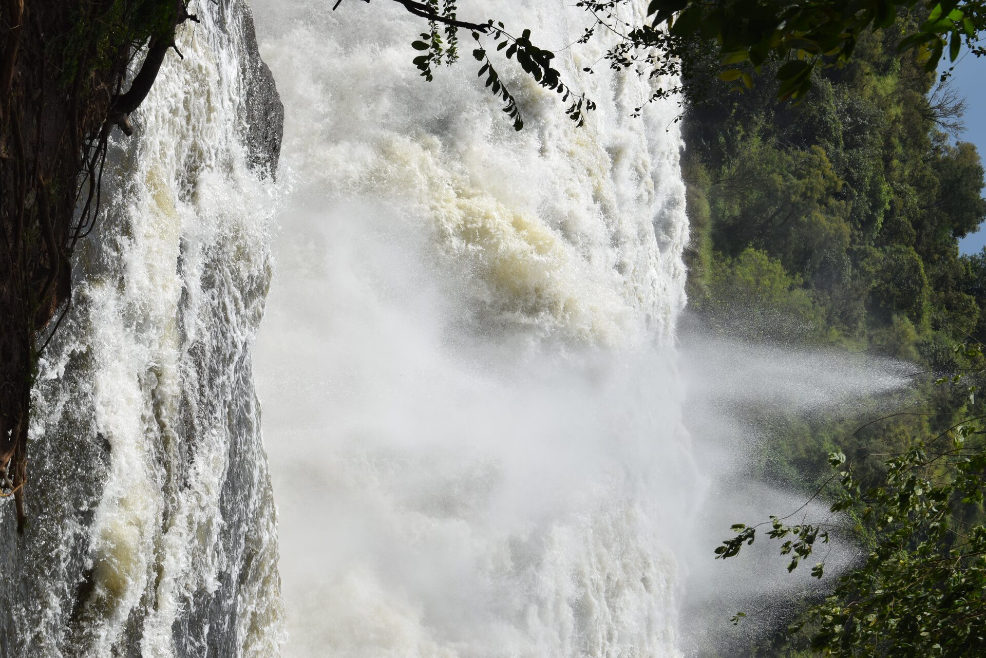 Murchison Falls National Park