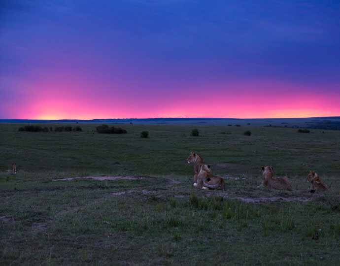 Arusha National Park