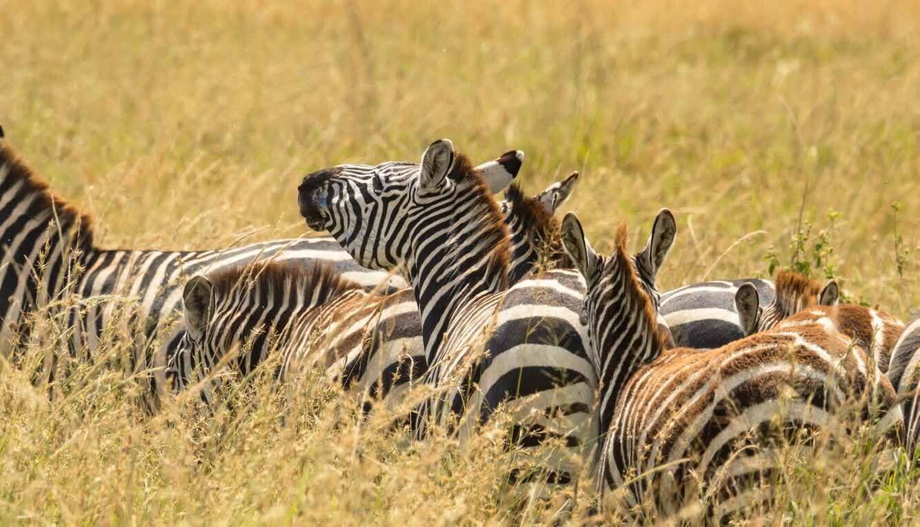 Tanzania travel route