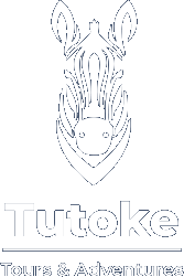 Tutoke Tours & Adventures